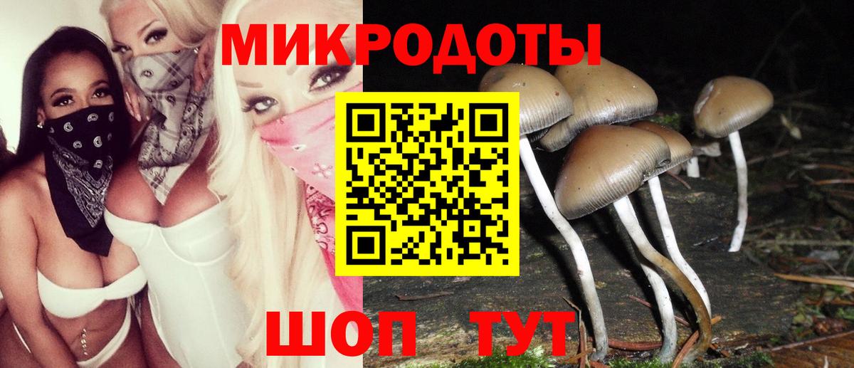 Нефтекамск  Галлюциногенные грибы прущие грибы  Псилоцибиновые грибы Magic Shrooms  где купить наркоту  Вход с VPN 