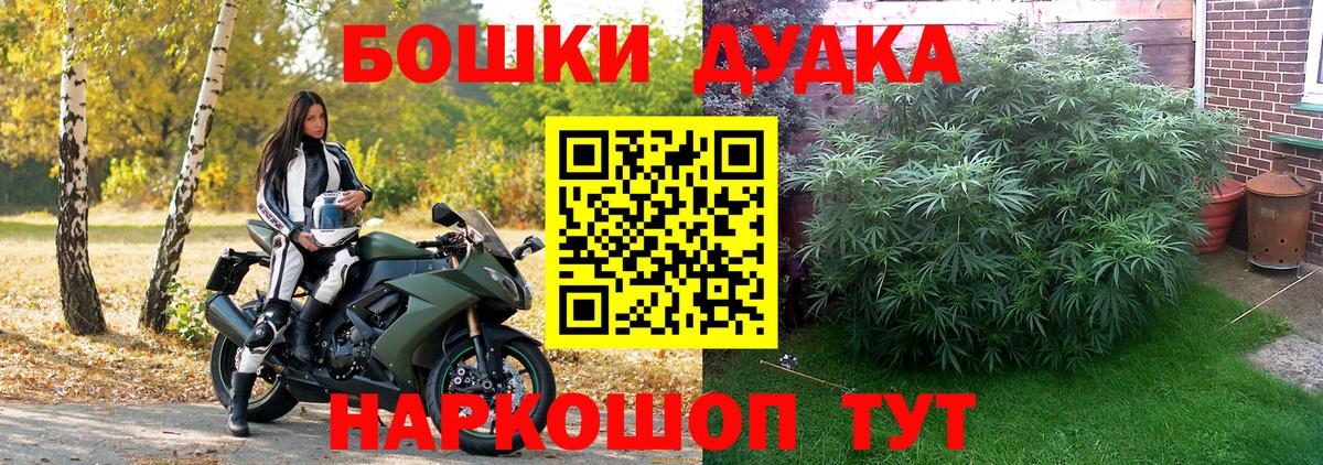 Марихуана план  Вход с VPN  Канабис Amnesia  Шишки марихуана SATIVA & INDICA  Нефтекамск 